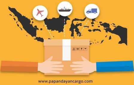 Ekspedisi Surabaya Ke Kandangan Murah Papandayan Cargo Surabaya