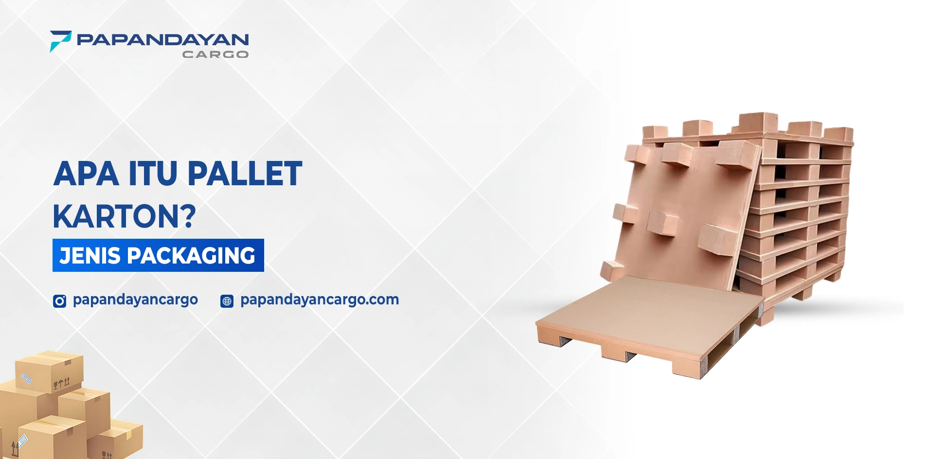 Apa itu pallet karton