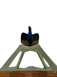 Ekspedisi Jakarta Bacan Timur Terpercaya