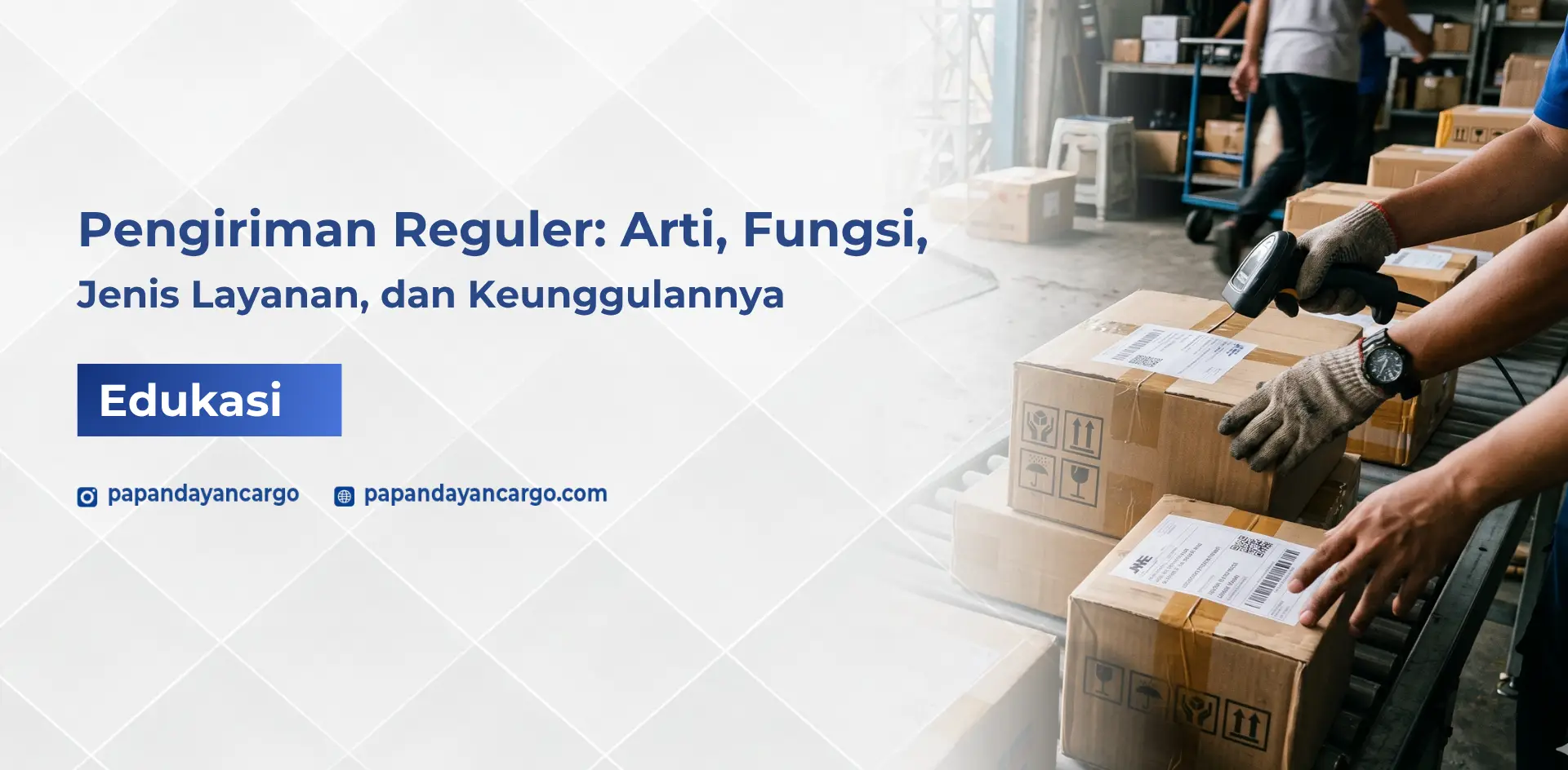 Reguler artinya layanan pengiriman dengan estimasi standar yang umum digunakan untuk kebutuhan logistik bisnis maupun pengiriman sehari-hari